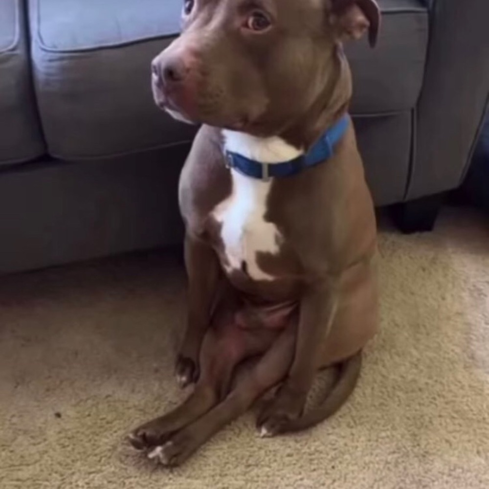 Meet your Posher, Mario